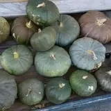 Faircrest Farm Produce photo