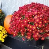 Faircrest Farm Produce photo