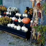 Faircrest Farm Produce photo