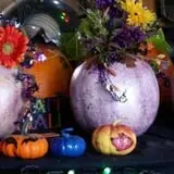 Faircrest Farm Produce photo