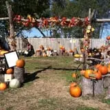 Faircrest Farm Produce photo