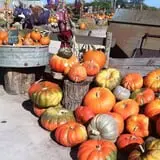 Faircrest Farm Produce photo