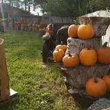 Faircrest Farm Produce photo