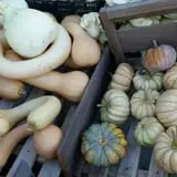 Faircrest Farm Produce photo