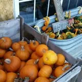 Faircrest Farm Produce photo