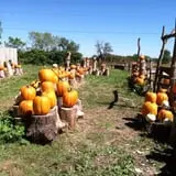 Faircrest Farm Produce photo