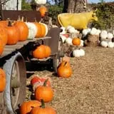 Faircrest Farm Produce photo