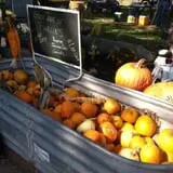 Faircrest Farm Produce photo