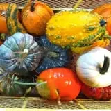 Faircrest Farm Produce photo