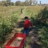 Faircrest Farm Produce photo