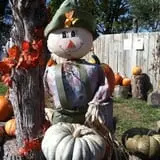 Faircrest Farm Produce photo