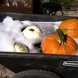 Faircrest Farm Produce photo
