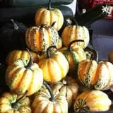 Faircrest Farm Produce photo