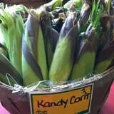 Indian Ladder Farms photo
