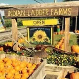 Indian Ladder Farms photo