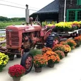 Indian Ladder Farms photo