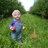 Indian Ladder Farms photo
