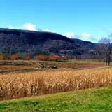 Indian Ladder Farms photo
