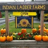Indian Ladder Farms photo