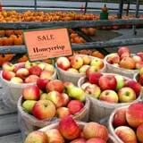 Indian Ladder Farms photo