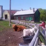 Indian Ladder Farms photo