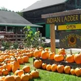 Indian Ladder Farms photo