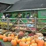 Indian Ladder Farms photo