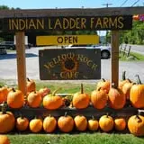 Indian Ladder Farms photo