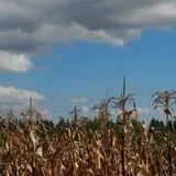 Indian Ladder Farms photo
