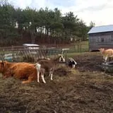 Indian Ladder Farms photo