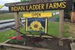 Indian Ladder Farms