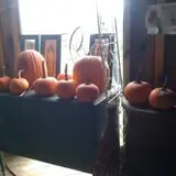 Littletree Orchards photo