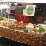 Littletree Orchards photo
