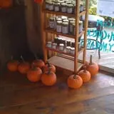 Littletree Orchards photo