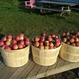 Littletree Orchards photo
