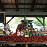 Littletree Orchards photo