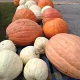 Winslett's Produce Market photo