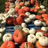 Winslett's Produce Market photo
