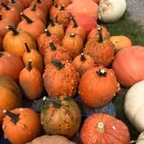 Winslett's Produce Market photo