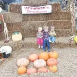 Winslett's Produce Market photo