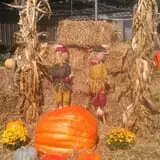 Winslett's Produce Market photo