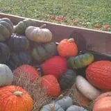 Winslett's Produce Market photo