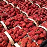 Winslett's Produce Market photo
