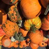 Winslett's Produce Market photo