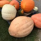 Winslett's Produce Market photo