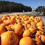 Winslett's Produce Market photo