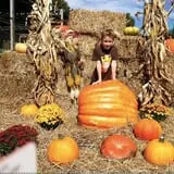 Winslett's Produce Market photo