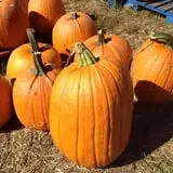 Winslett's Produce Market photo