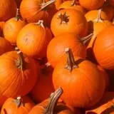 Winslett's Produce Market photo