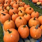 Winslett's Produce Market photo